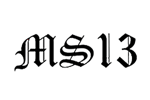 Mara Salvatrucha (MS-13) logo