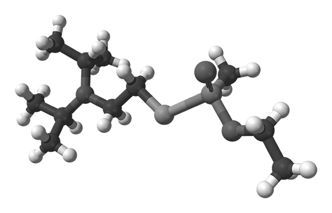 VX molecule
