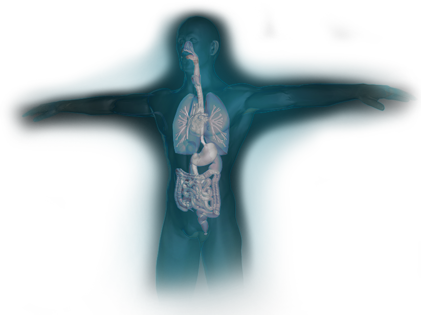 Three dimensional image of human figure with arms spread out